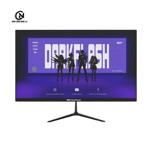 MÀN HÌNH DARKFLASH G243FW (23.8 INCH/FHD/IPS/100HZ)
