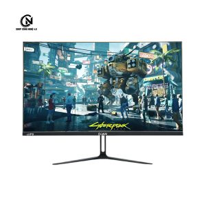 MÀN DUAN 24 inch 100hz DT-IP2409S (24 INCH/IPS/FULL HD/100HZ/1MS/HDMI+VGA)